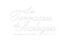 Terrasses de Scalegiu